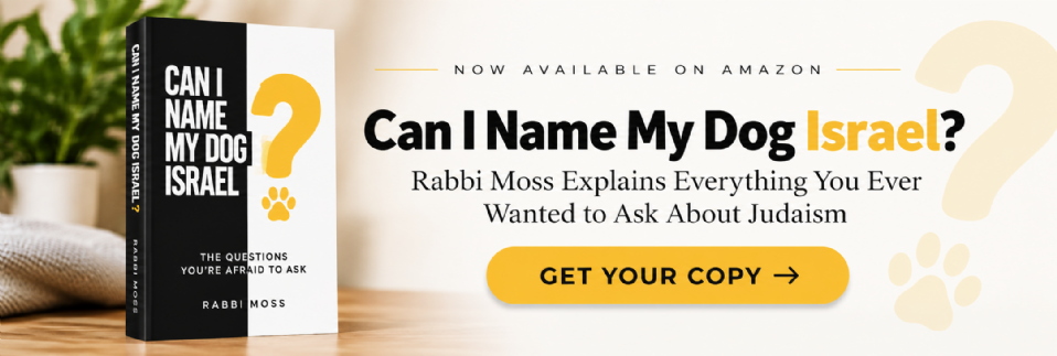 Can I Name My Dog Israel? by Rabbi Aron Moss - now available on Amazon